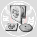 DAWN - CD